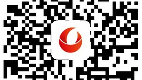 2026年司法裁决大新普京赌场：奥尔莫注册案本周五揭晓